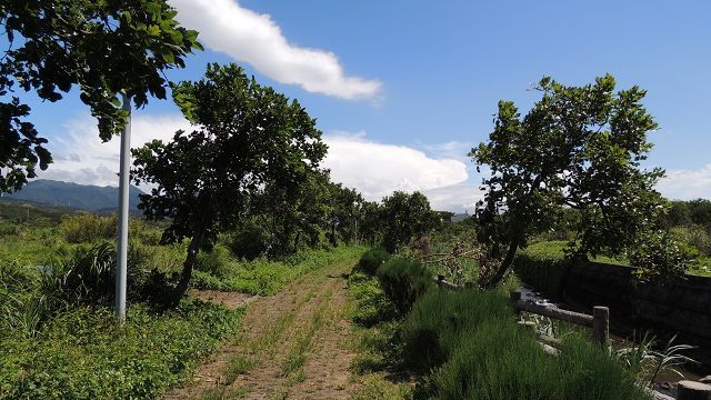 水口民主公王宮前的河岸步道