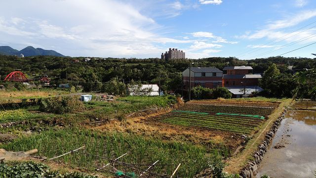 八連溪沿岸田野景觀豐富，視野與心都同時打開了