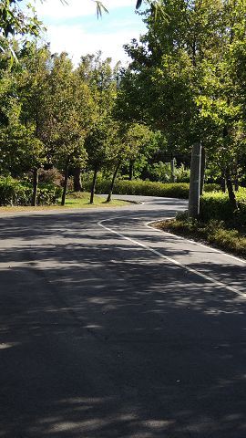 貼心規劃的自行車道，略微上坡的路段伴隨青翠綠意