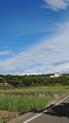 八連溪旁有豐富的田野景觀