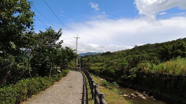 大坑溪三生步道是賞春櫻、看桐花的首選步道