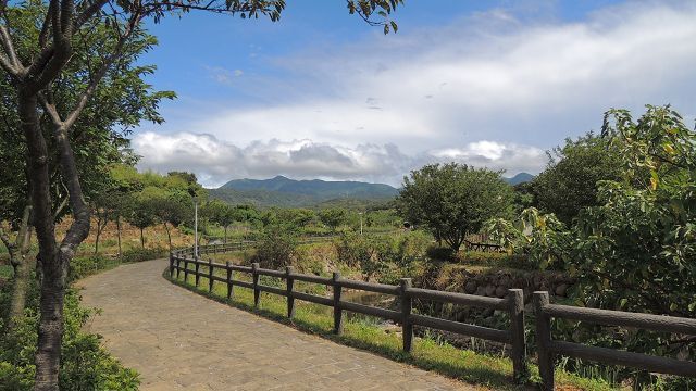 隨著河岸蜿蜒展開的大坑溪三生步道