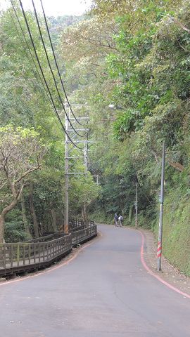 桐花公園附近