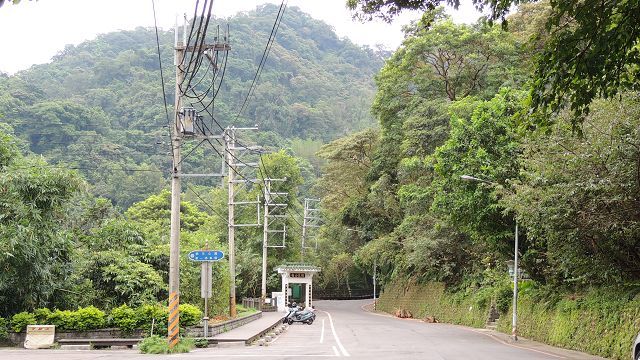 桐花公園前路段