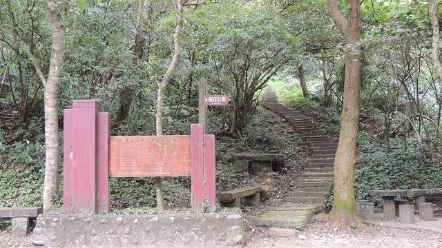 桐花公園附近登山步道