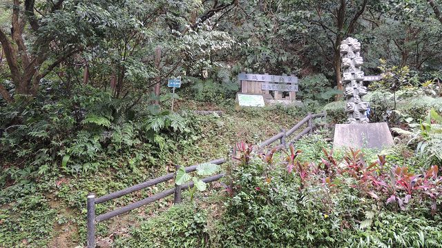 桐花公園賞桐步道