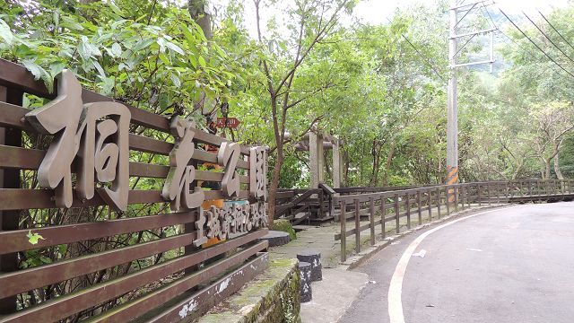 桐花公園賞桐步道意象